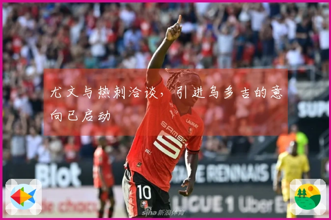 尤文与热刺洽谈，引进乌多吉的意向已启动